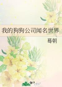 �ҵĹ�����˾��������