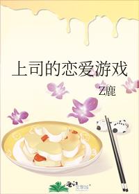 ��˾��������Ϸ