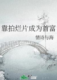 ������Ƭ��Ϊ�׸�