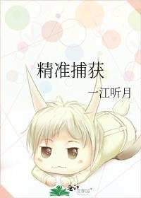 ��׼����