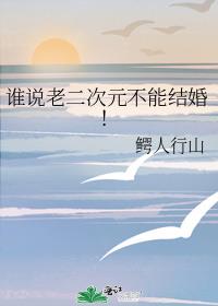 ˭˵�϶���Ԫ���ܽ�飡