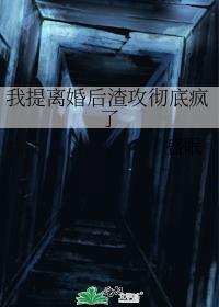 ���������������׷���