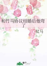 ������Э�����������