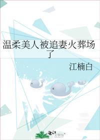 �������˱�׷�޻��᳡��