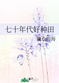 ʮ