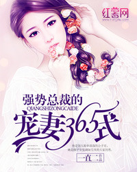 ǿ���ܲõĳ���365ʽ