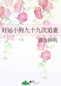 ����С����ʮ�Ŵ�׷��