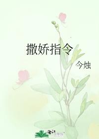 ����ָ��