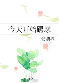 ���쿪ʼ����