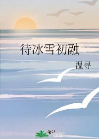 ����ѩ����