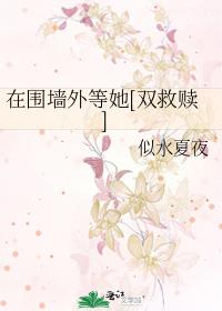 ��Χǽ�����[˫����]