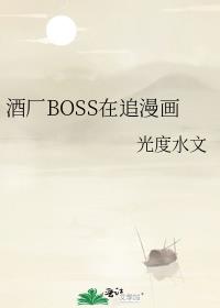 �Ƴ�BOSS��׷����