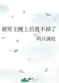 ���������Ϻ��Ӳ�����