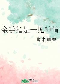 ����ָ��һ������