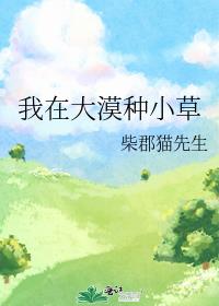 ���ڴ�Į��С��