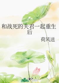 ��ս���ķ��һ��������