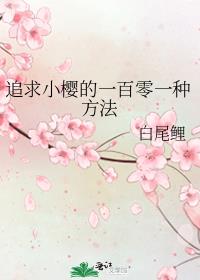 ׷��Сӣ��һ����һ�ַ���