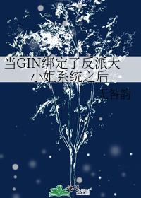 ��GIN���˷��ɴ�С��ϵͳ֮��